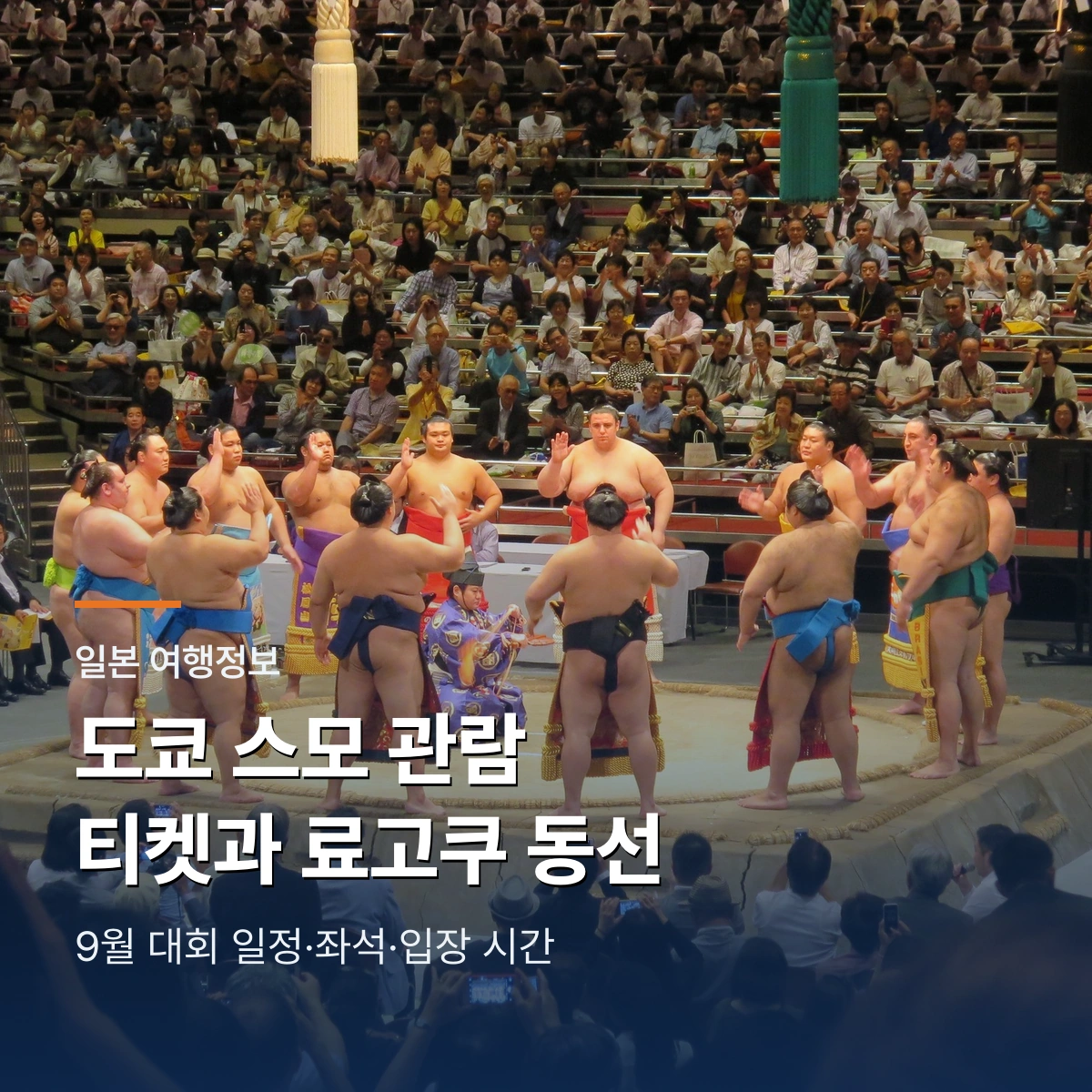 도쿄 9월 스모 대회 2026｜좌석별 가격과 료고쿠 하루 동선