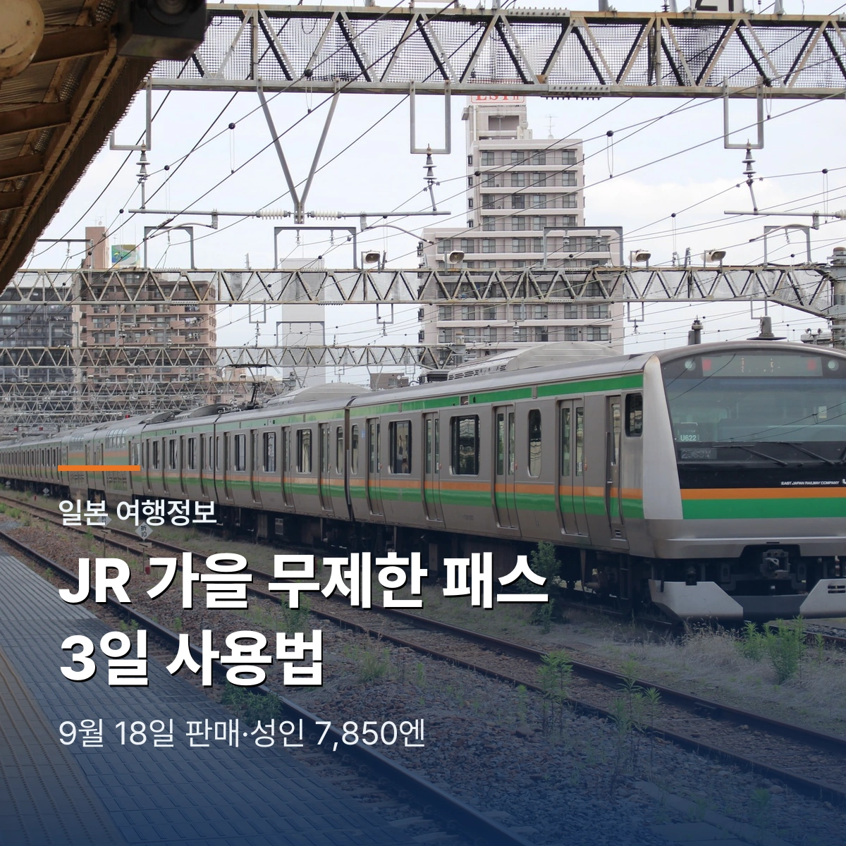JR 가을 무제한 패스 2026｜9월 18일 판매·7,850엔 3일 사용법