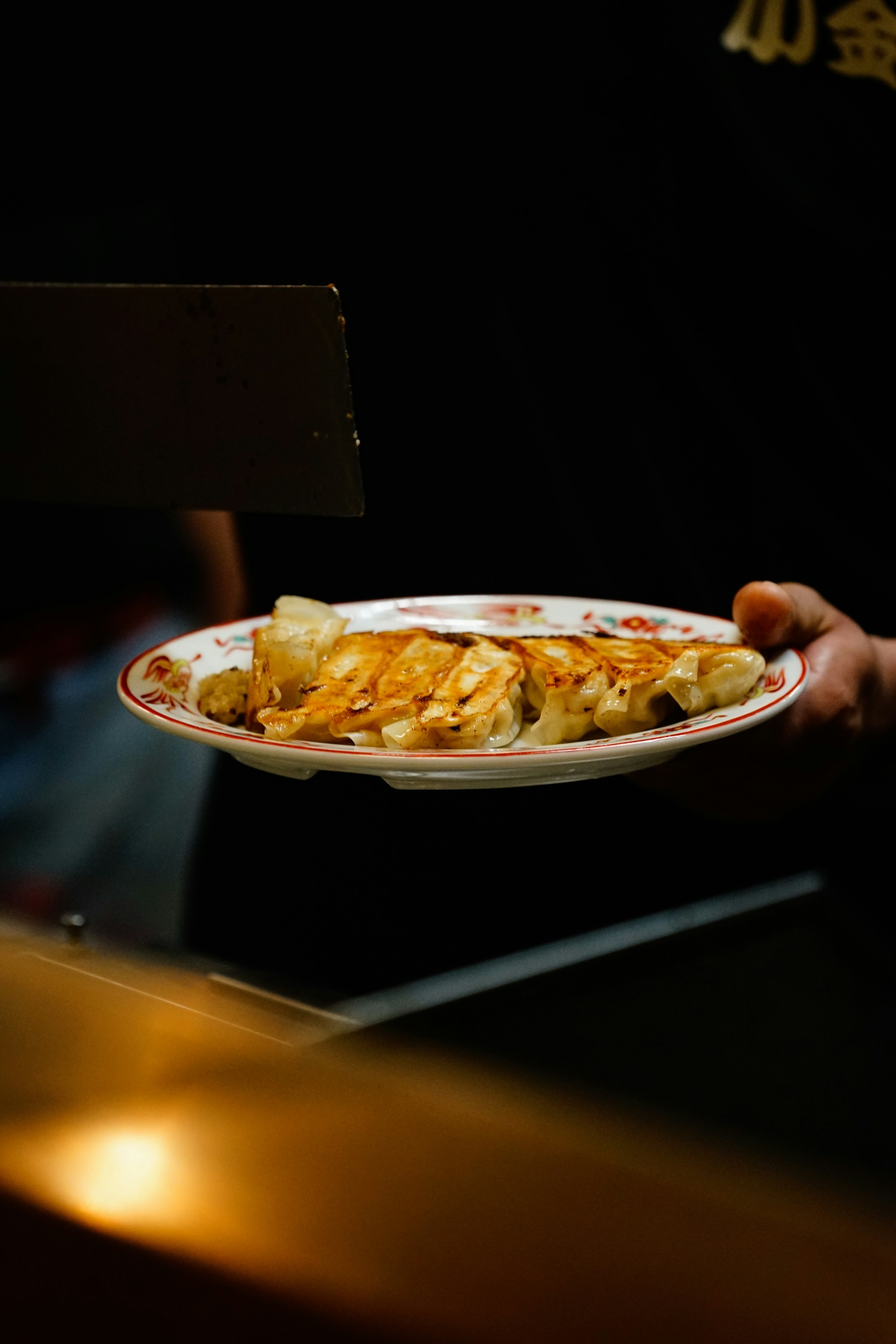 가고시마에서 촬영된 일본식 군만두