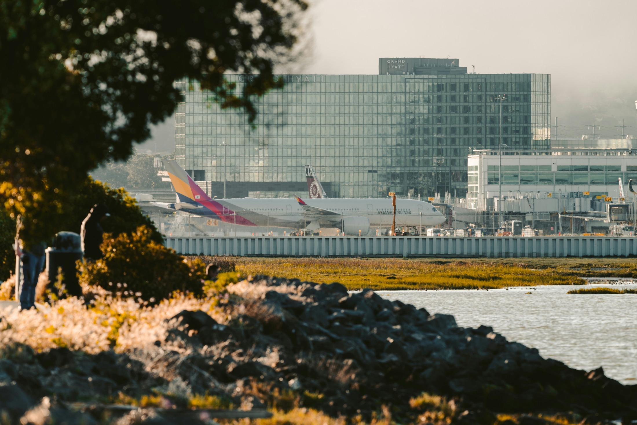 공항 계류장에 있는 아시아나항공 여객기