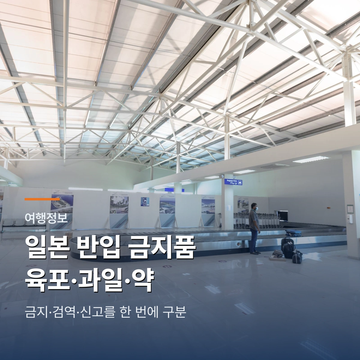 일본 반입 금지품 2026｜육포·과일·약·현금 신고 기준