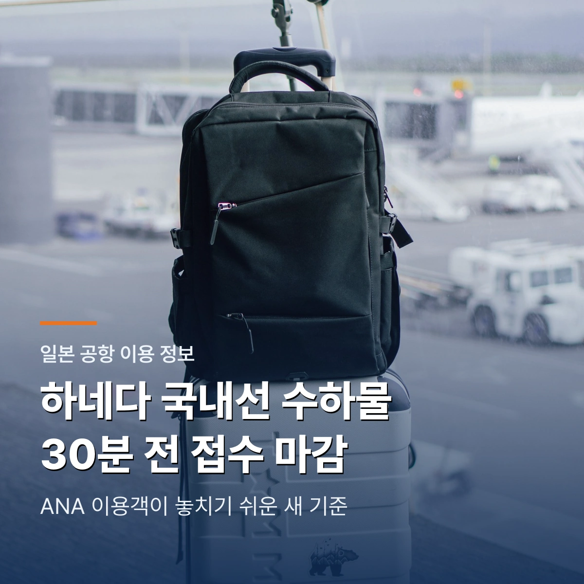 하네다공항 ANA 국내선 수하물｜30분 전 접수 마감과 이동 시간