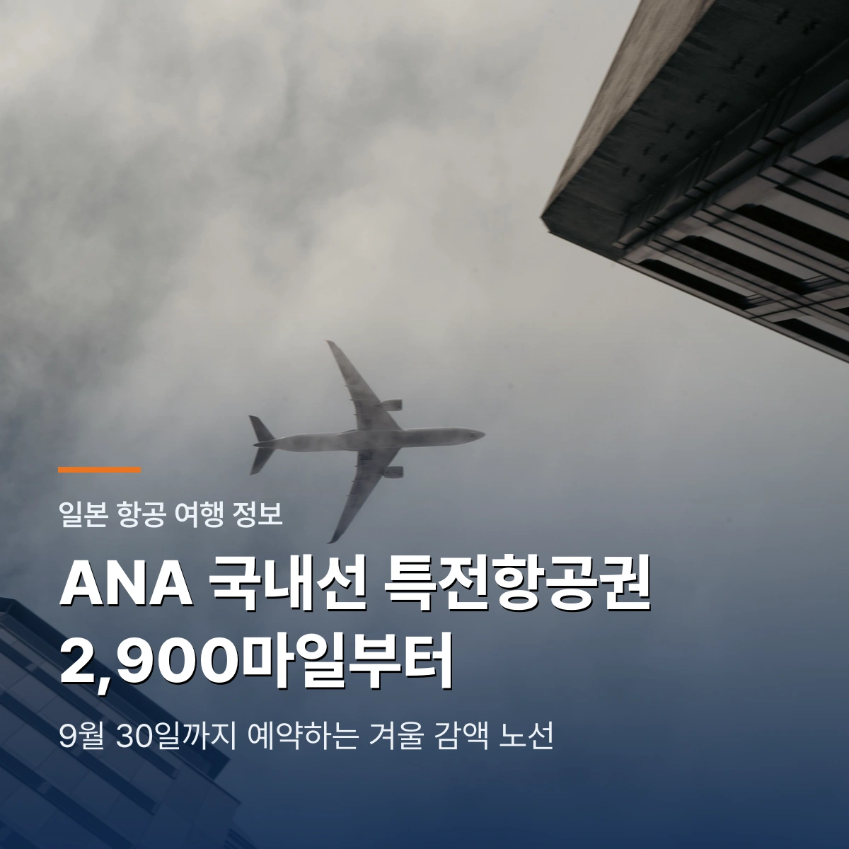 ANA 일본 국내선 특전항공권 2,900마일부터|겨울 감액 노선과 예약 조건