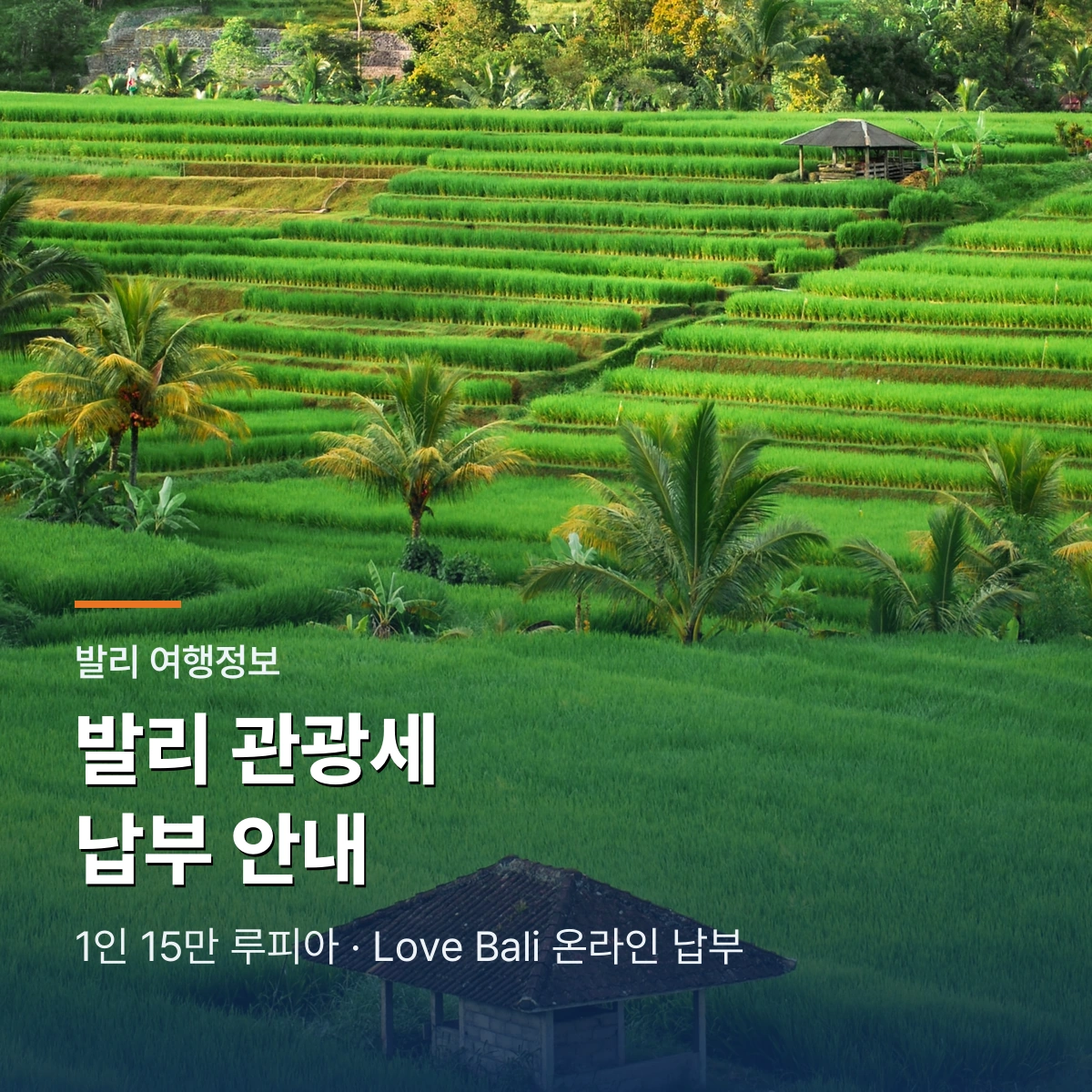 발리 관광세 15만 루피아｜Love Bali 온라인 납부·면제·QR 바우처