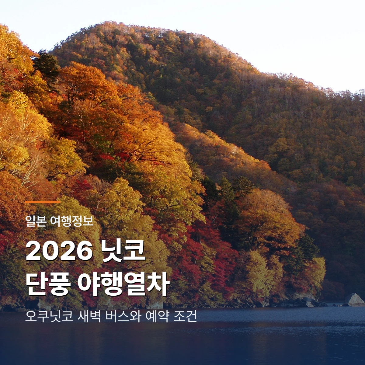 2026 닛코 단풍 야행열차와 오쿠닛코 새벽 버스