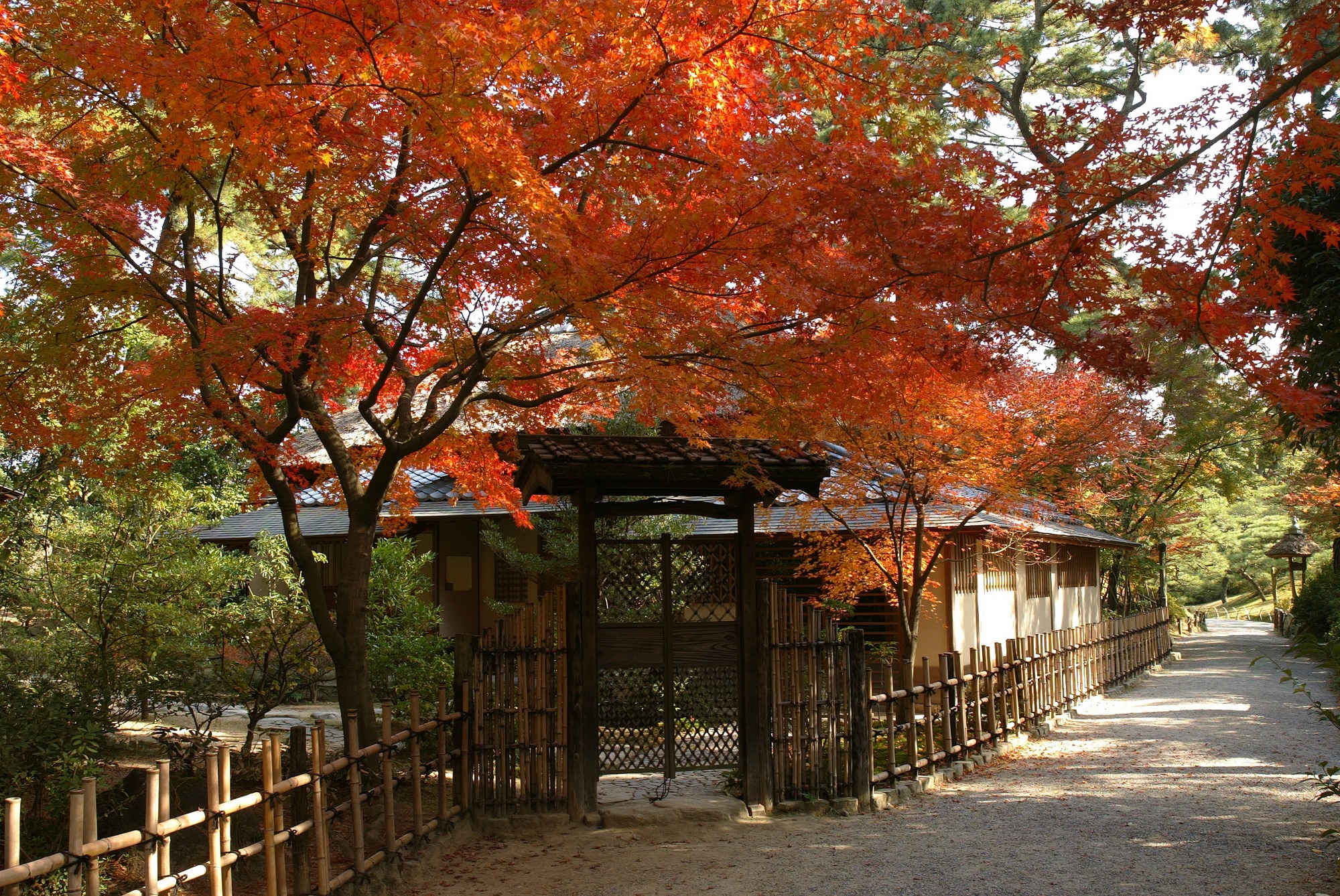 리쓰린공원 단풍 산책로