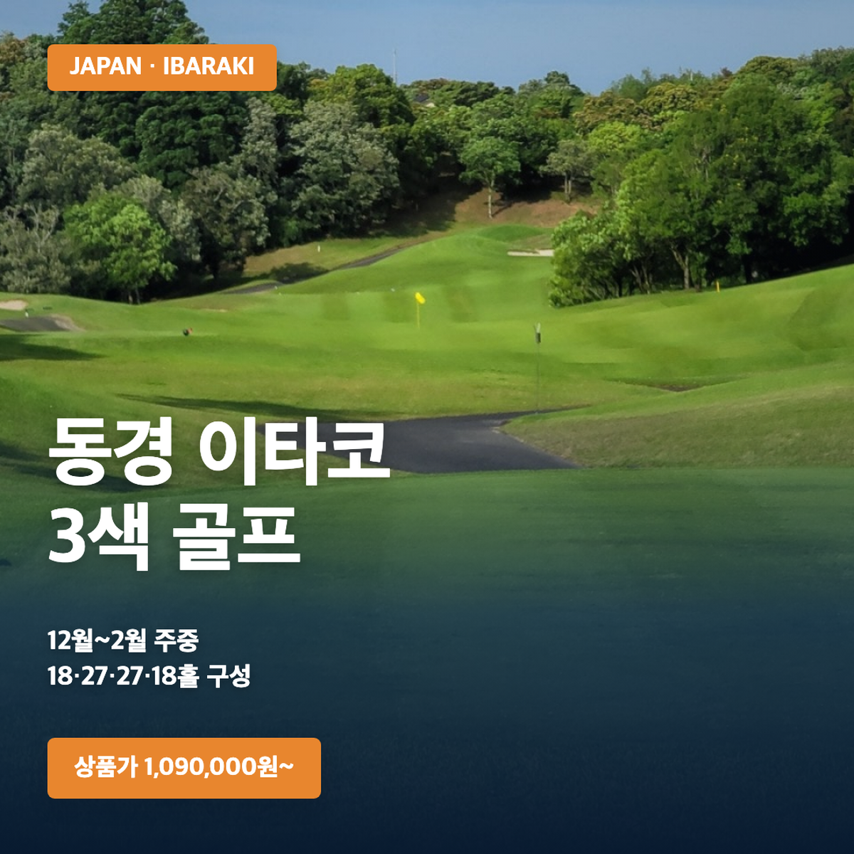 동경 이타코 3색 골프