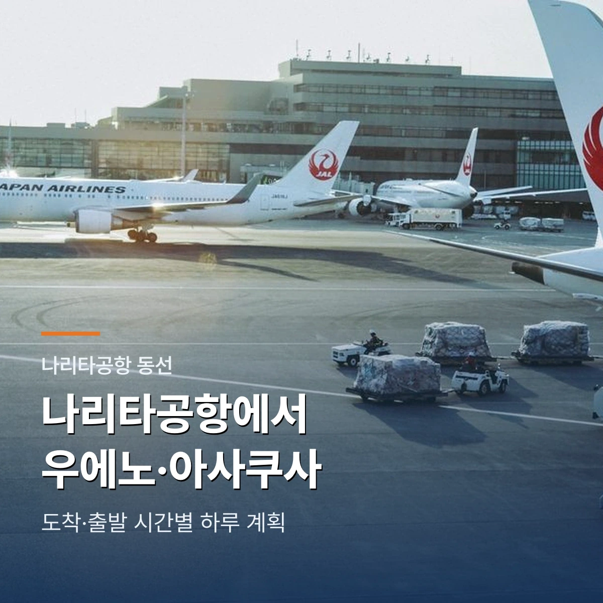 나리타공항에서 우에노·아사쿠사|도착·출발 시간별 하루 동선