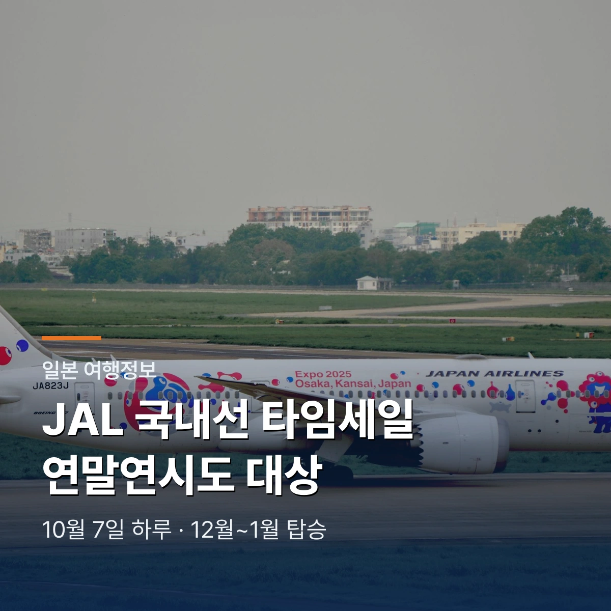 JAL 일본 국내선 타임세일 12월 1월 예약 조건
