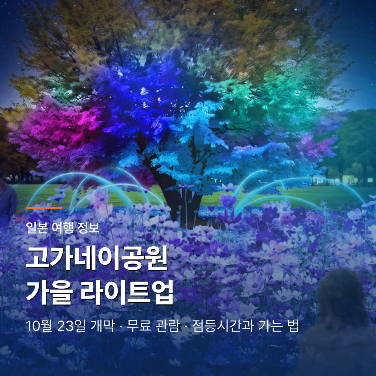 고가네이공원 가을 라이트업 2026 안내