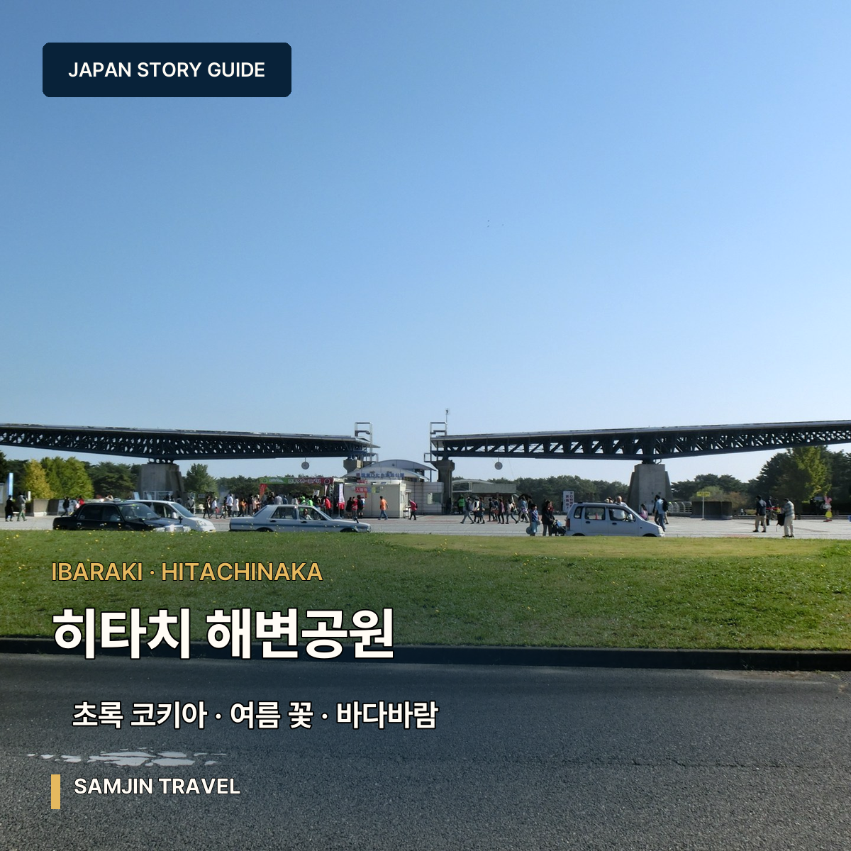 히타치 해변공원 사진 여행 가이드 | 8월 초록 코키아와 여름 꽃길
