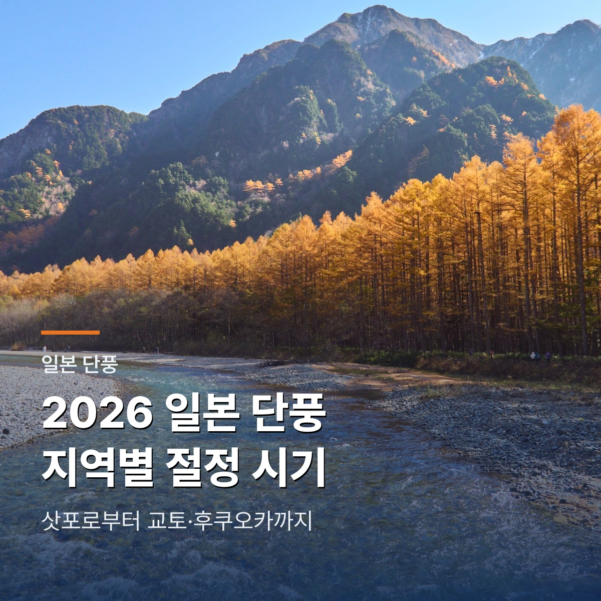 일본 단풍 여행 베스트 15, 사진으로 고르는 가을 명소와 지역별 시기