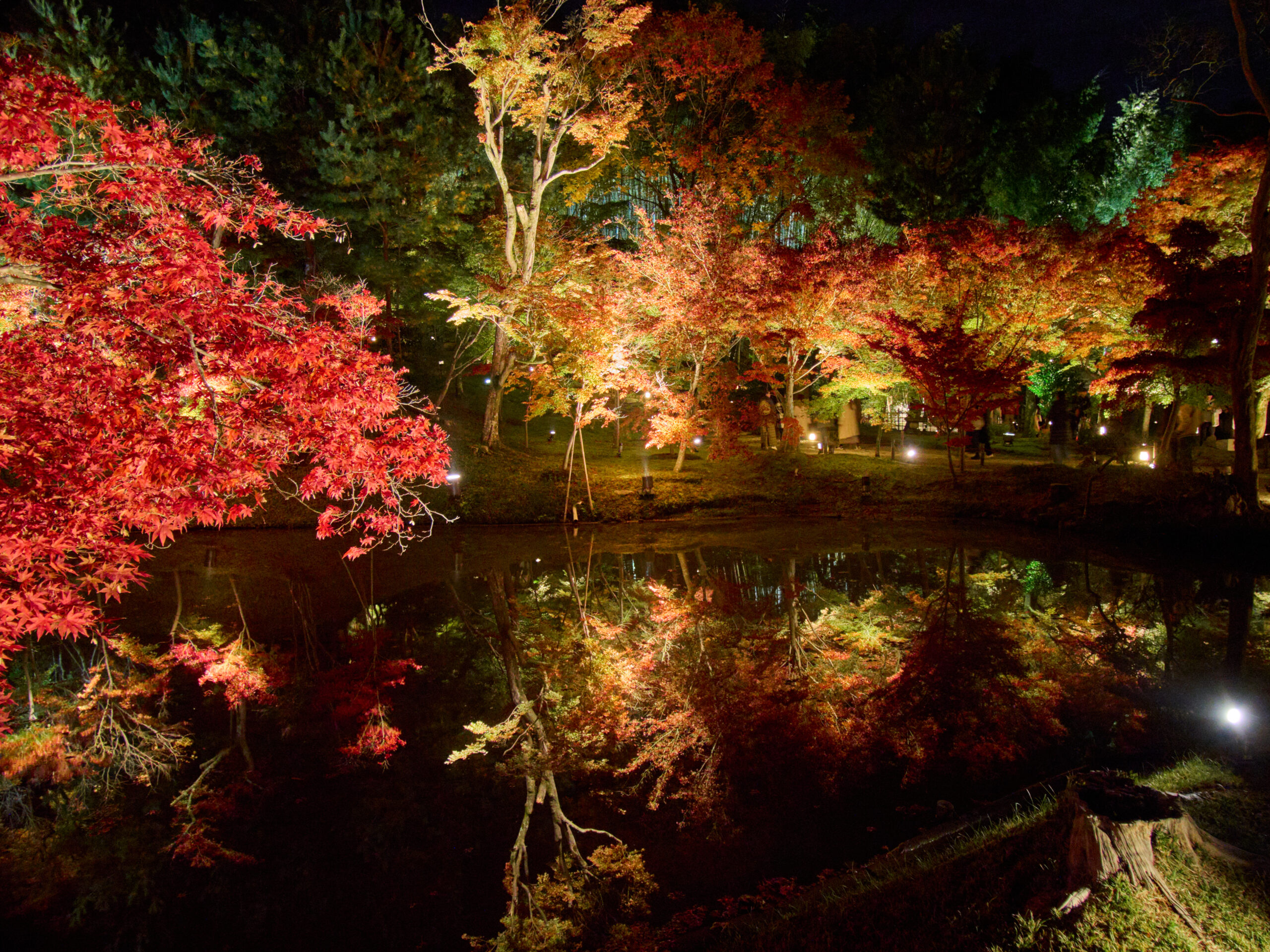 Kodai ji, Kyoto Kodaiji7299