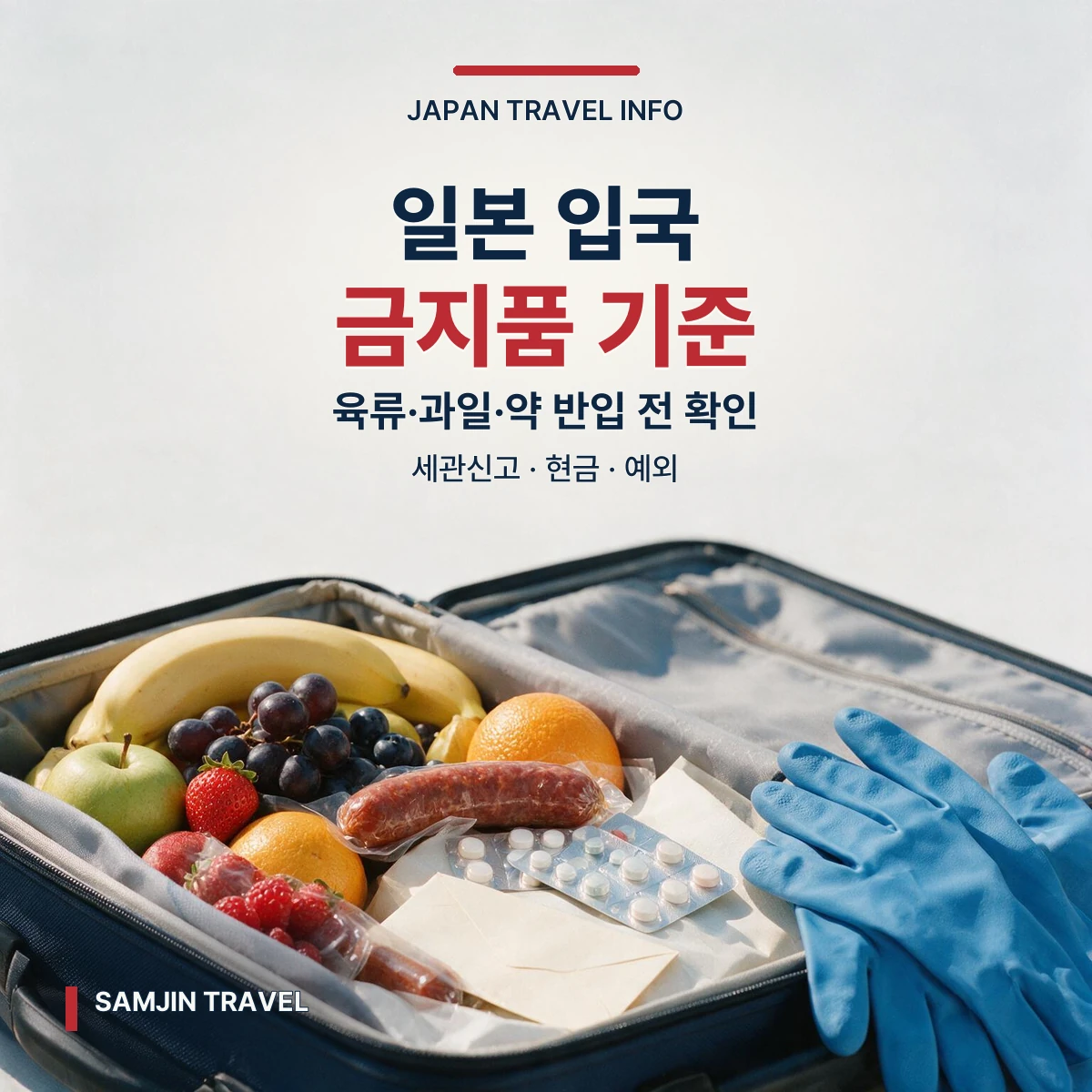 일본 입국 금지품과 세관 신고 안내